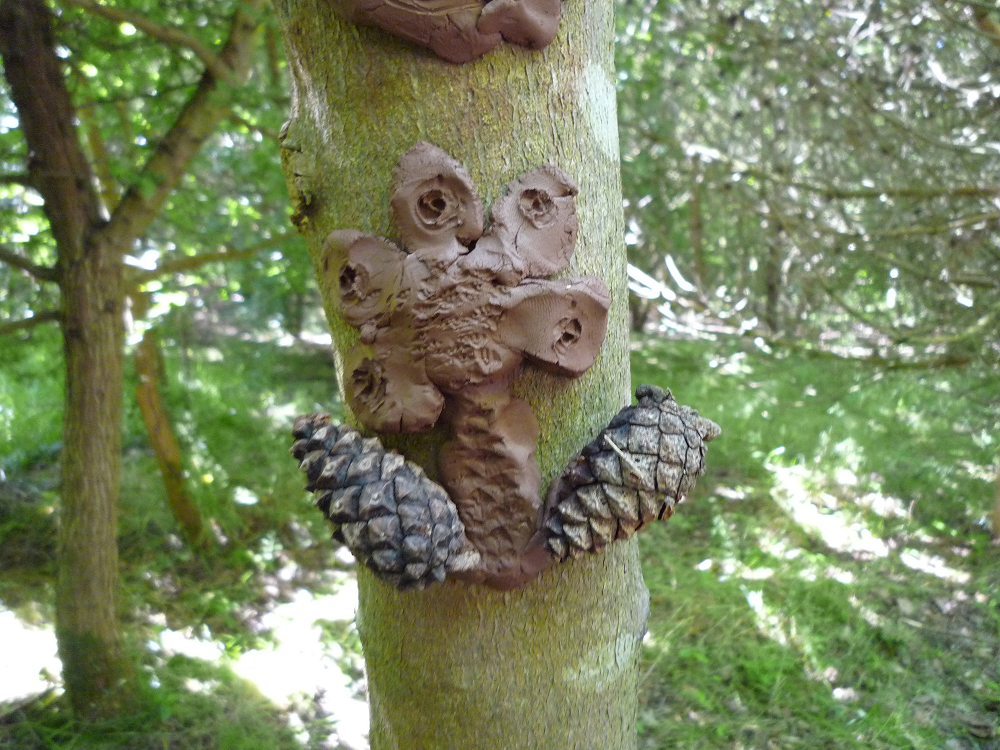 flower design on a tree trunk made from acorns
