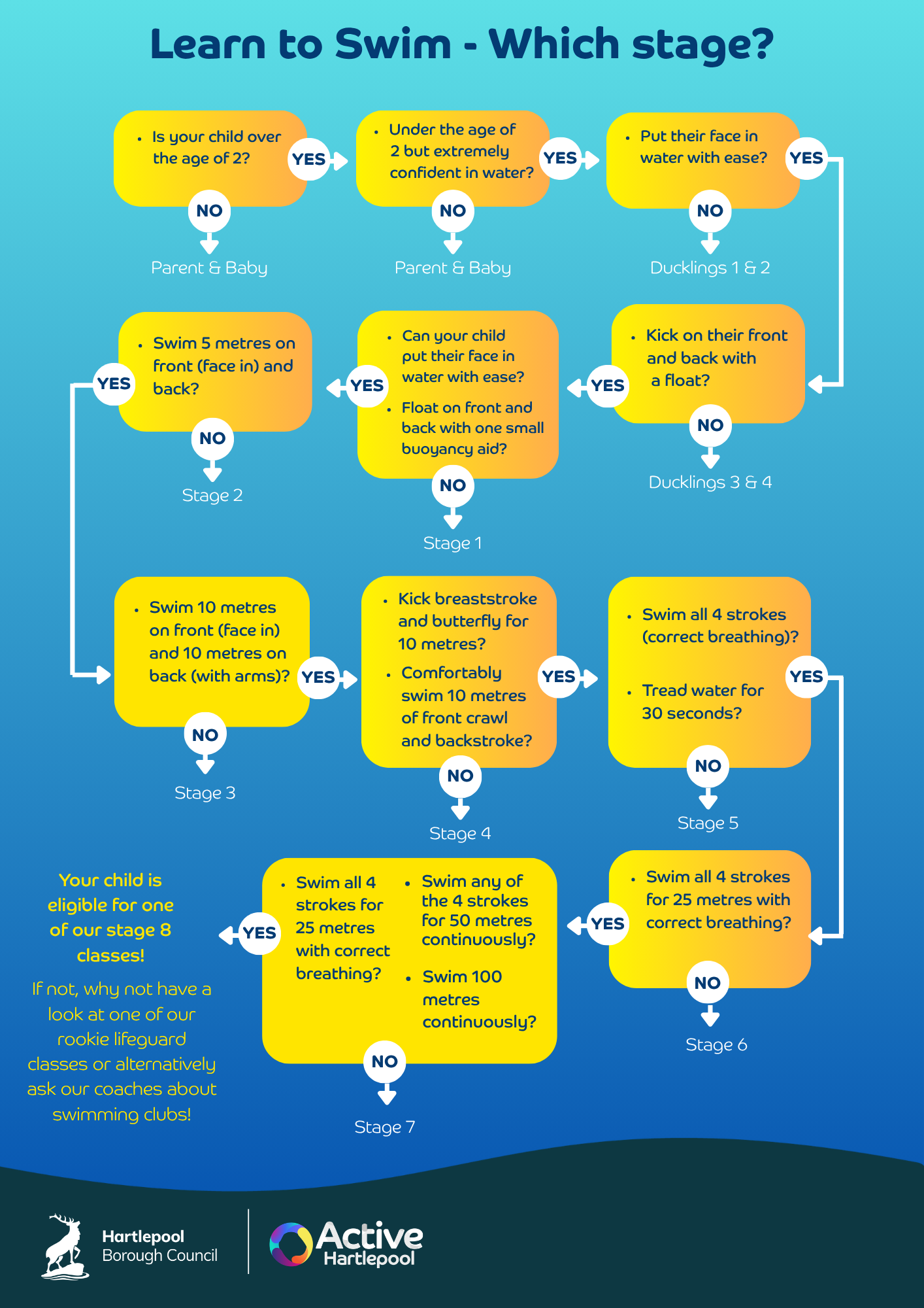 Poster that explains the different swim stages