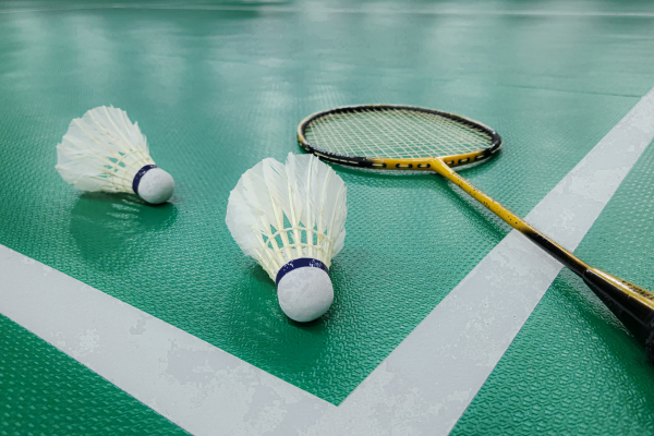 The photograph shows a shuttlecock and a badminton racket